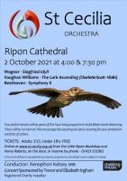 St Cecilia Orchestra at Ripon Cathedral