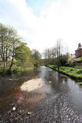 The River Skell By The Weir