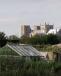 Cathedral From Fisher Green Allotments
