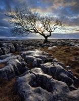 Joe Cornish Photography Exhibition 
