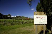 'Meet Your Maker' Wine Tasting @ Great Northern Wine