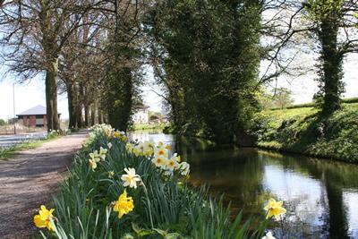 Springtime By The Canal