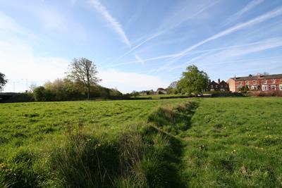 Open Fields By North Bridge