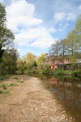 River Skell And The Cathedral