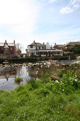 The Water Rat By The River Skell