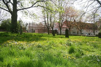 Wildlife Area In The Cathedral Grounds