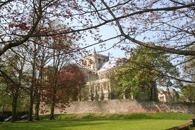 Ripon Cathedral Through The Trees