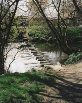 Stepping Stones Over The River Skell
