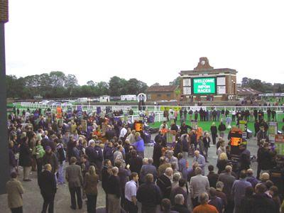 Ripon Races Evening Meeting