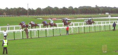 Action From Ripon Races