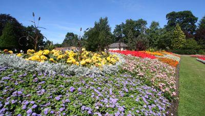 Flowers In Spa Gardens, Summer 2006