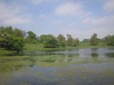 Studley Water Gardens