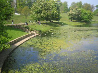 Studley Water Gardens