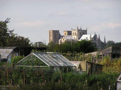 Cathedral From Fisher Green Allotments