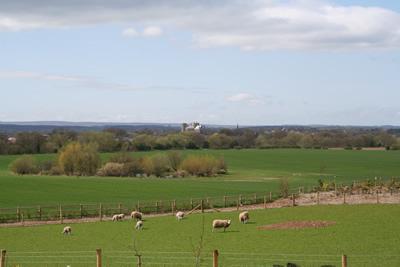 Ripon Cathedral In The Distance