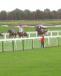 Action From Ripon Races