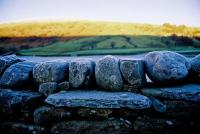 New Photographic Exhibition Opening At Lockwoods