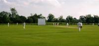 Local Cricket Teams Make National Headlines